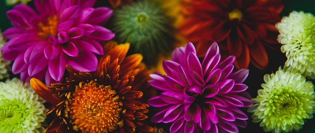 马刺老帅临场指挥引热议