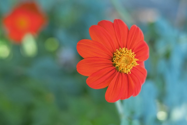 贝纳蒂亚：除了德布劳内，夏窗我们还联系过韦斯利-福法纳